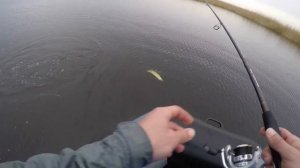 Ловля щуки. Река Ея