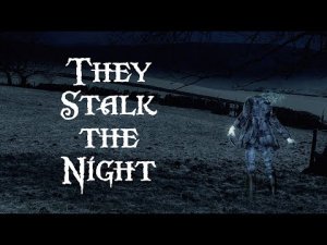 They Stalk the Night