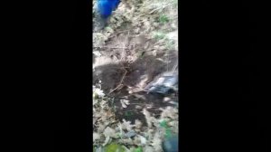 История о том, как мы нашли акинак который пролежал в земле 2500 тыс лет! В поисках клада и старины