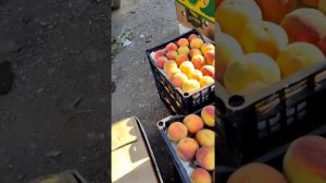 Цены. Оптовый рынок Желябовка. Крым.