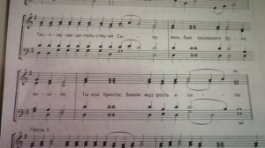 БОГОЯВЛЕНИЕ!!!! ИРМОСЫ. БАС.Первый Канон. глас 2(Сокращ. знаменный роспев)