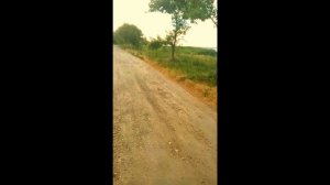 Буденновск. Гид по городу Будённовску-главная улица)))