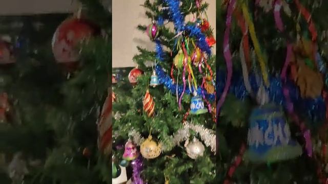 Цветок Рождественская Звезда ? (Пуансеттия) и Рождественская ель ?... смотреть онлайн