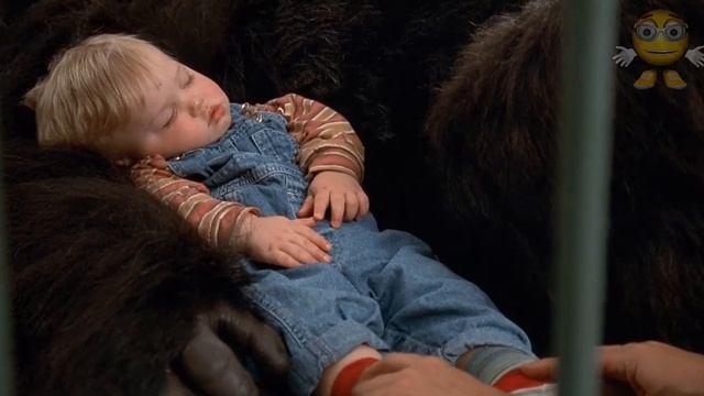 Младенец на прогулке. Ради вашей безопасности, не заходите за заграждение. смотреть онлайн