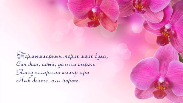 Абыема! `”*°•.✿ Яна жырлар һәм котлаулар ✿.•°*”`