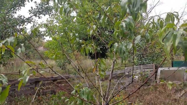 Вернулись домой спустя полгода... 1 октября 2022г. смотреть онлайн