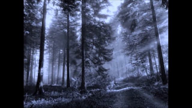 Black Star Forest (original song) FIXED смотреть онлайн