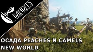 Оборона форта против гильдии Peaches N Camels на стороне защищающихся в New World