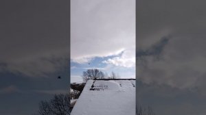 военные вертолеты над Шемуршой.