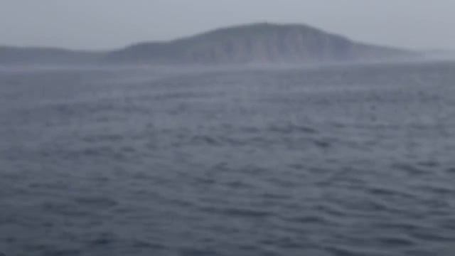 MVI 8302 смотреть онлайн