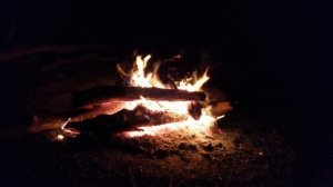 Ловля окуня на закидушки и на поплавок на красивом озере ALGETI
