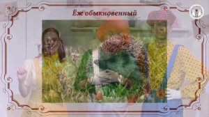 «По страницам Красной книги» – познавательная программа для детей