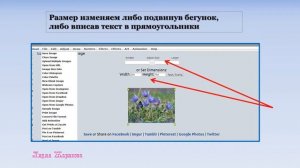 Создание анимации. Эффект снегопад
