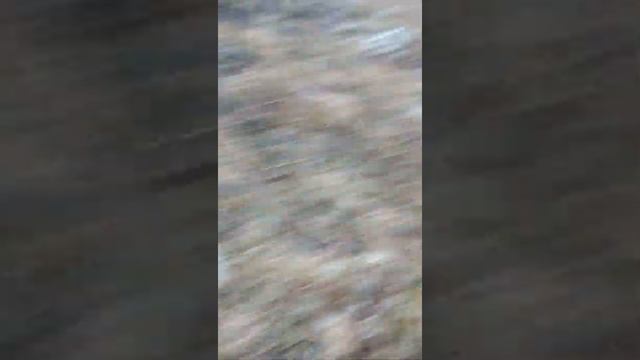 Вершина горы Чатыр-Даг смотреть онлайн