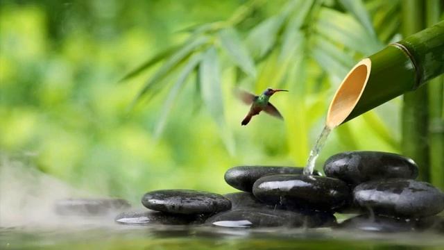 Расслабляющая Музыка В Стиле Дзен Со Звуками Воды • Расслабление, Сон, Спа, Йога, Медитация смотреть онлайн