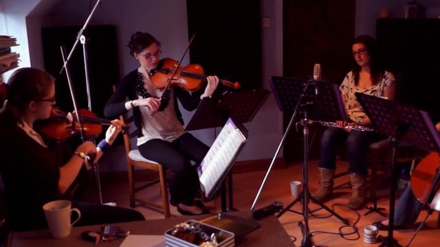 The Secret Wedding from Braveheart (Braveheart Theme) performed by Fordante смотреть онлайн