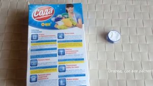 201. Безопасное и надёжное средство от тли