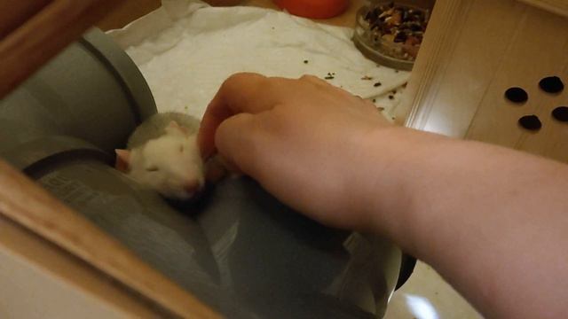 Девчуля сломалась!!!))) смотреть онлайн