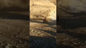 Т-25 трактор заводим после долгого простоя #трактор #т25