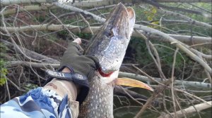 ?Рыбалка Чулым 2021- Первый день разведка.?.mp4