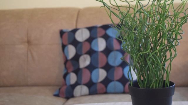 Гостиница "Старый дом" Promo смотреть онлайн