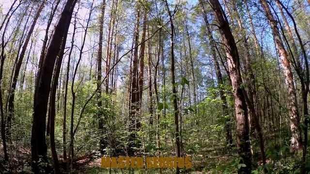 Фильмы | Смотреть | Мир живой природы часть 2 смотреть онлайн