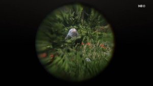 Легендарный МЕДВЕДЬ в Red Dead Redemption 2 ► Гайд по поиску животных