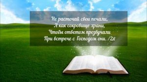 Не расточай свои печали. Елена Ваймер