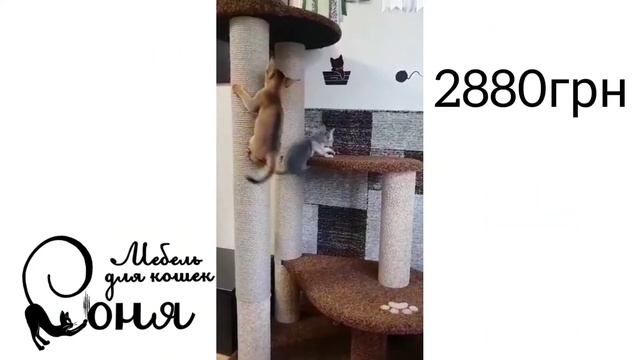 Домик для кота. Мебель для кошек "Соня". Когтеточка для больших котов.