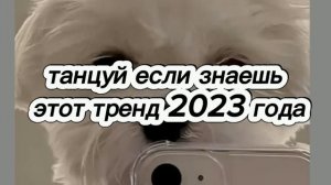 Танцуй если знаешь этот тренд 2023 года