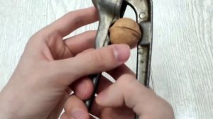 Как чистить грецкие орехи в домашних условиях. 3 Способа, которыми я пользуюсь лично