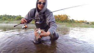 Ловля голавля в июне