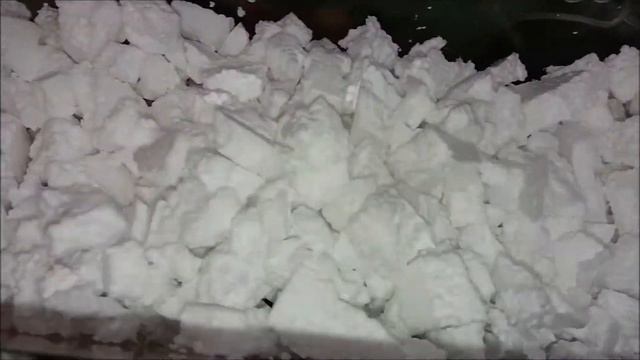 мышки-песчанки
