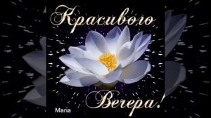 🌹Добрый Вечер  ‼Красивая музыка для ВАС  ‼🌹🌹🌹🌹 Коrg / Дрюня. Наше кафе .