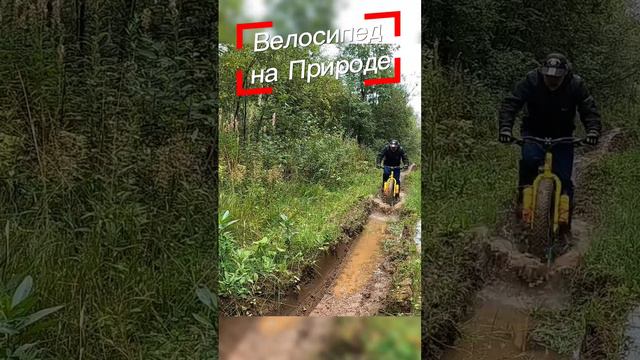 #bike #fatbike #velofatbike #велосипед #природа #фэтбайк #велоспорт #велопоход #велопутешествие