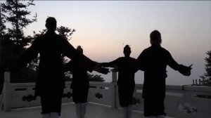 УШУ вид спорта, традиционное, оздоровительное. WUSHU Styles Дисциплины и стили