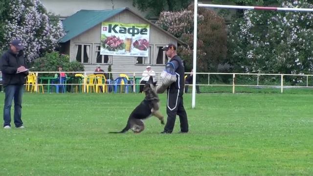 Туркина Анна и Germania Gerti - Невский Иподром-2012 - "С" смотреть онлайн