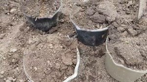 Грунт, земля для посадки нимфей и кувшинок