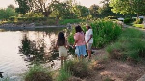 Полевые незабудки Видеоклип.mp4