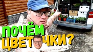 Продолжаем торговать рассадой. Первые проблемы #22