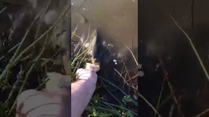 вот куда надо ходить на рыбалку