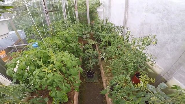 Дача как хобби .Высокие алюминиевые грядки. Град.Гроза./ Garten als Hobby. Hohe Beete. смотреть онлайн