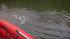 СИБИРСКИЕ РЫБАКИ-КАМИКАДЗЕ. часть 2 | Путешествие на водометах по реке Хам-Сара, Тыва, Сибирь