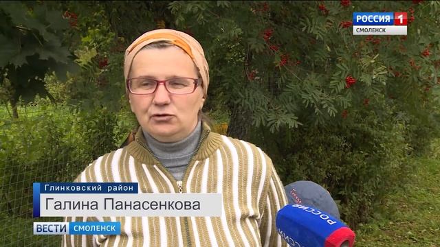 Неравнодушных смолян просят «усыновить» аиста