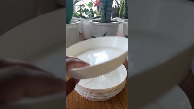 Meesho finds unboxing white bottom trays for pots #plant #gardening #unboxing #online #meesho #like