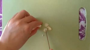 Рецепт. Суп из красной капусты