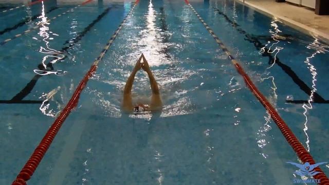 КАК ЗАКРЕПИТЬ ТЕХНИКУ НА ВСЮ ЖИЗНЬ. УРОКИ БРАССА. УРОК 5 @Swimmate.ru смотреть онлайн