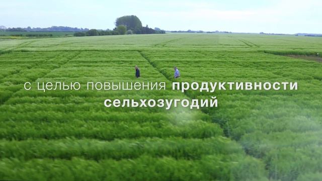 Нам всем нужна еда