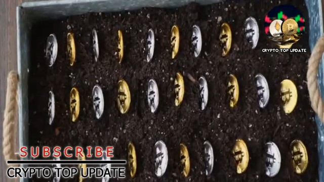 A Crypto Expert Describes the XRP Price Roadmap for a 1,350% Increase смотреть онлайн