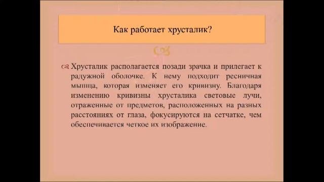 Зрительный анализатор. Урок биологии.